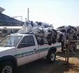1 Ton Bakkie Loaded